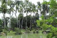 สวนช้างทองเฮอริเทจ สวนไม้โยราณเชียงใหม่