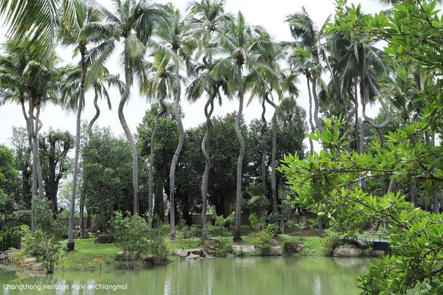 สวนช้างทองเฮอริเทจ สวนไม้โยราณเชียงใหม่