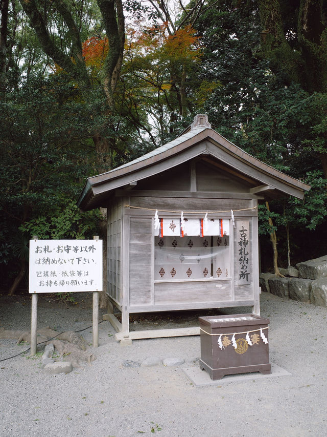 Tsurugaoka Hachimangu ⛩️