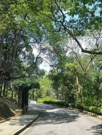 Oasis Garden: KL’s Hidden Haven of Peace and Greenery