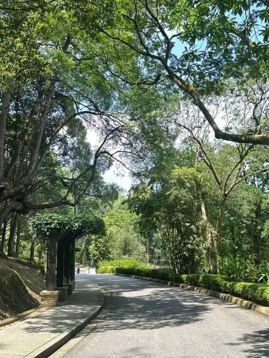 Oasis Garden: KL’s Hidden Haven of Peace and Greenery