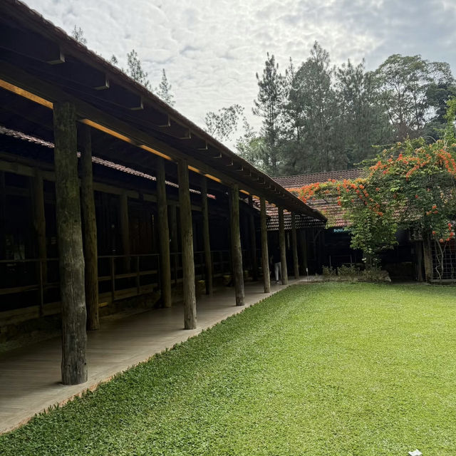 A Forest Hideaway Above the Highlands – My Visit to Pineyard Café, Genting