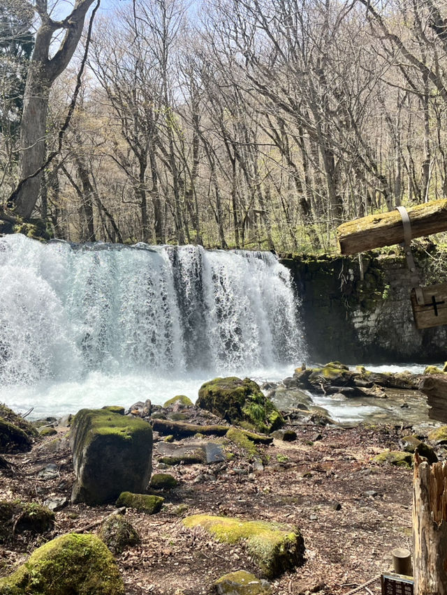 Spent a day at Oirase Gorge - Aomori