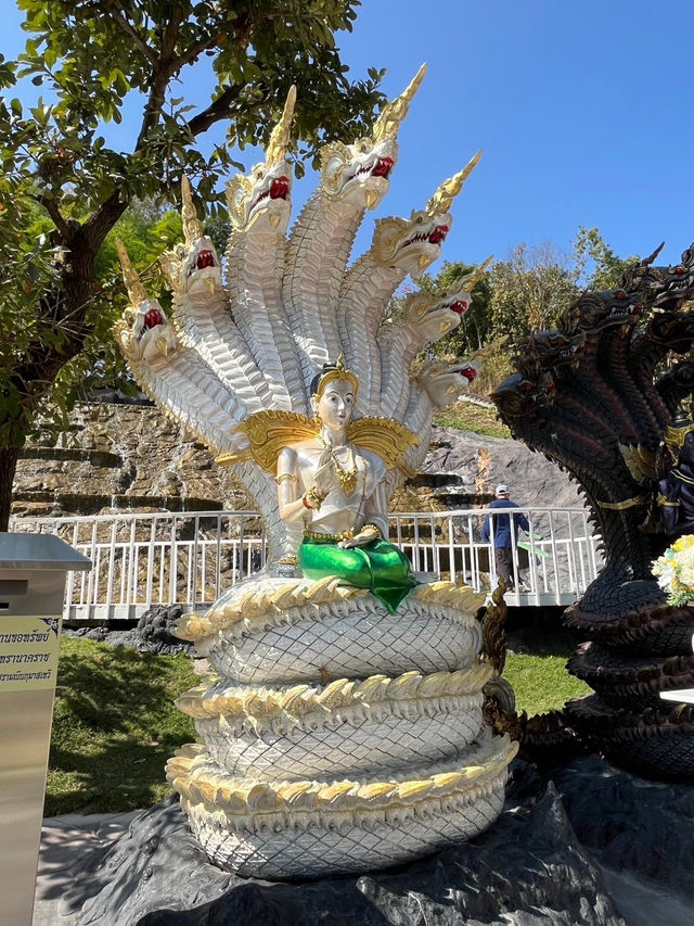 ม่อนพญานาคราช (วัดป่าพุทธชินวงศาราม) 