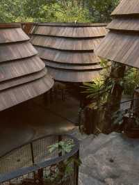 WYAH Cafe