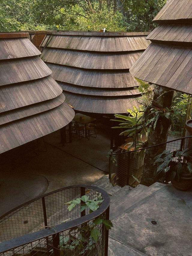 WYAH Cafe