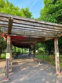 🌿城市裡的綠意綠洲：桃園《風禾公園》，親子野餐滑草超chill！