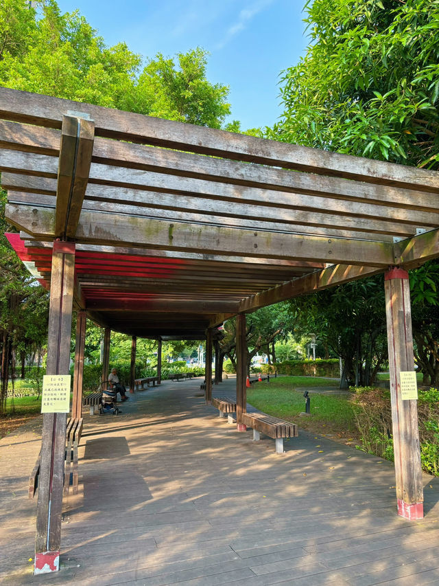 🌿城市裡的綠意綠洲：桃園《風禾公園》，親子野餐滑草超chill！