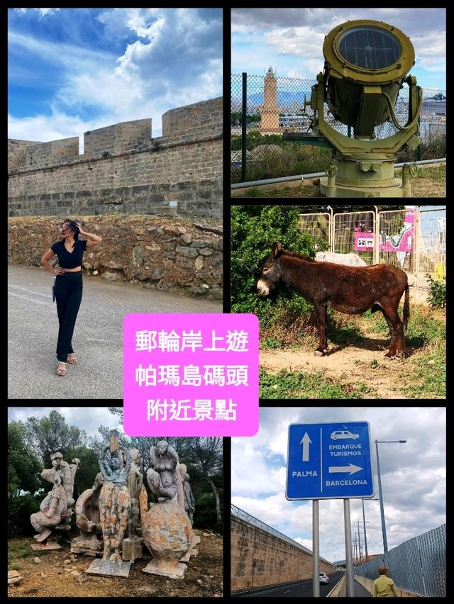 郵輪岸上遊～帕瑪島碼頭附近景點