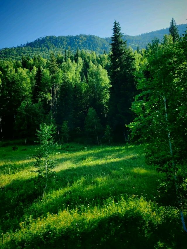 Kanas: Scenery on the Way Back