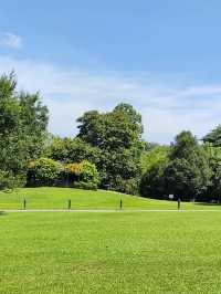 Botanic Garden in Singapore