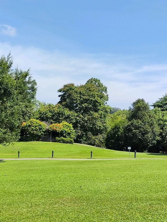 Botanic Garden in Singapore
