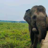 Way Kambas National Park, Lampung
