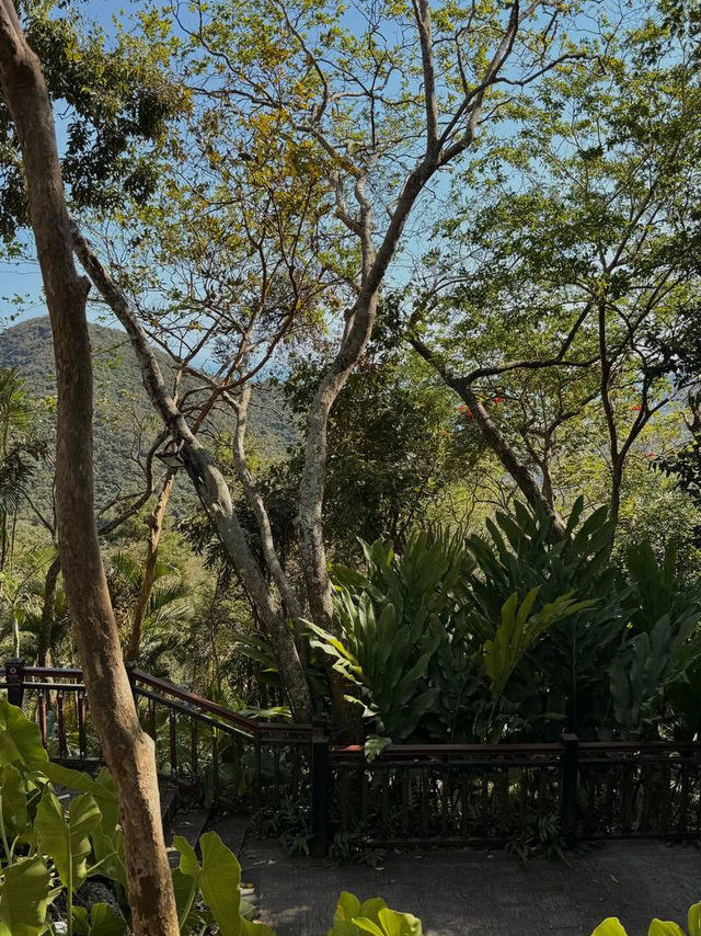 The park where a deer turned its head…   …and I almost broke my neck from the insane views! 😅  