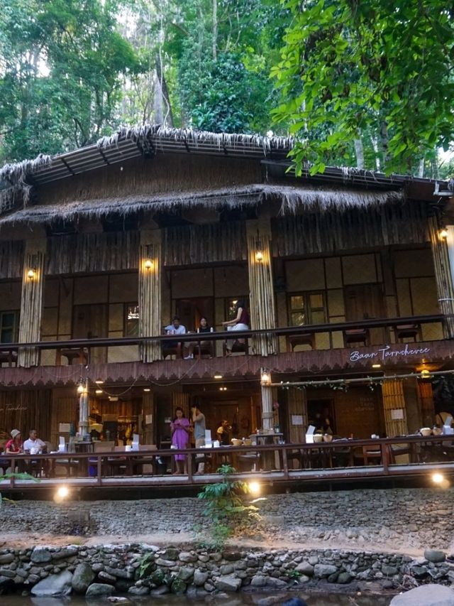 📍บ้านธารชีวี (Baan Tarnchevee) @เชียงดาว