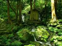 【山形】祠の背面の岩場から流れ出る滝！「胴腹滝」も涼感スポット