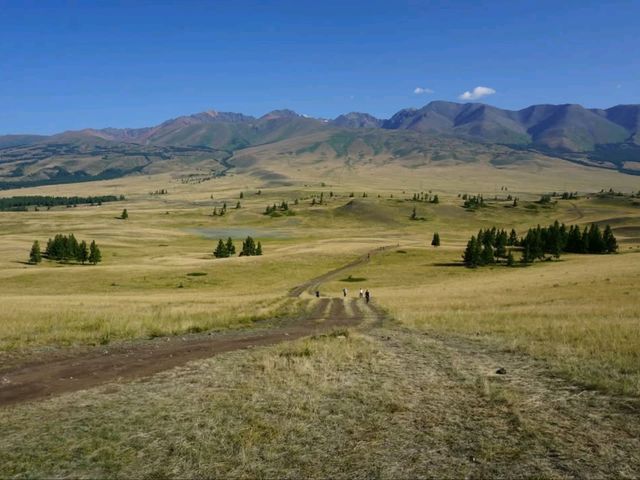 Mountains, Meadows & Endless Views. Strolling the Chuysky Trakt