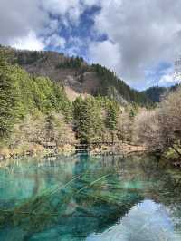 Aqua Terror: Jiuzhaigou’s Liquid Jade Insurgency