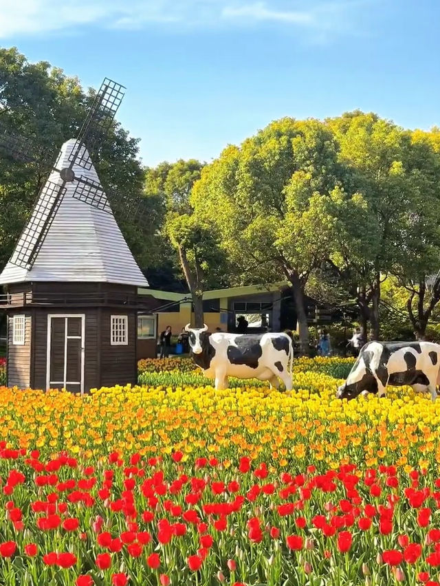Secret Rose Field in Shanghai | Hidden Floral Wonderland with a White Castle 🌹🏰