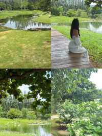 คาเฟ่ ฟิลยุโรป  BUCoLIC Khaoyai