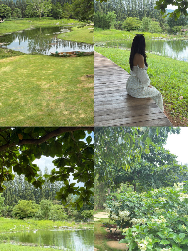 คาเฟ่ ฟิลยุโรป  BUCoLIC Khaoyai