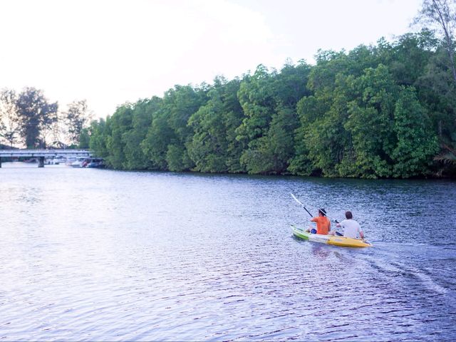 Mangrove Bungalow 🛏️