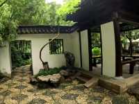 Jing’an Park: A Serene Oasis in the Heart of Shanghai