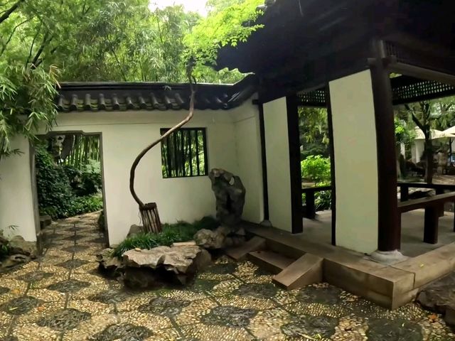 Jing’an Park: A Serene Oasis in the Heart of Shanghai