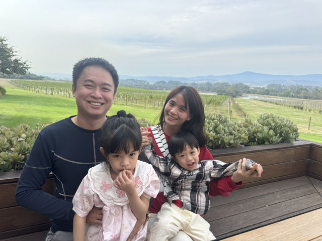 A Magical Day in Yarra Valley – Wine, Cheese & Gorgeous Views! 🍷🐄