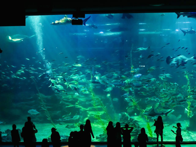 Beyond Fish: Exploring Diverse Marine Ecosystems