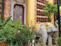 Discover Cultural Fusion at Wat Thawon Wararam in Hat Yai