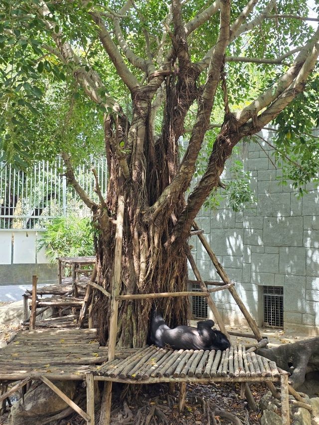 빈원더스 놀이동산, 자연과 함께하는 즐거운 하루 🌴