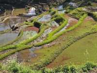 Yuanyang Hani Rice Terraces (Yunnan)