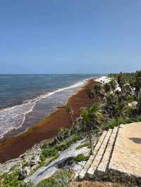 Jungle Trails and Beach Views at Parque del Jaguar