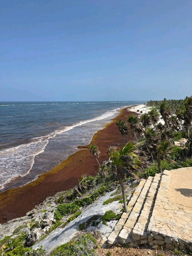 Jungle Trails and Beach Views at Parque del Jaguar