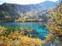 Snowy winter scene of Jiuzhaigou's frozen turquoise lakes