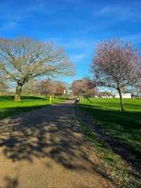 War Memorial Park