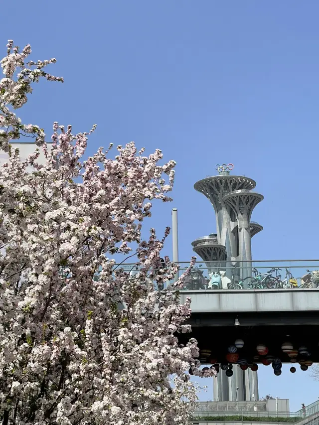 漫步北京奧林匹克公園——從北京綠色地鐵站出發的綠色逃逸