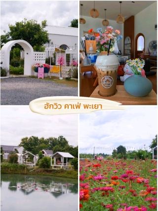 허그 뷰 카페 파야오