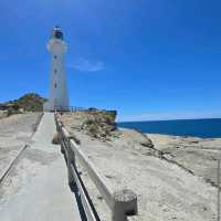 Castlepoint Lighthouse & Scenic Reserve – Castlepoint, Wairarapa