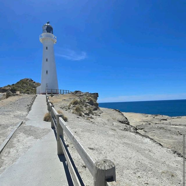 Castlepoint Lighthouse & Scenic Reserve – Castlepoint, Wairarapa Castlepoint Lighthouse & Scenic Reserve – Castlepoint, Wairarapa