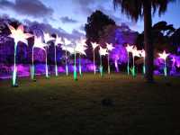 🎆Lightscape Part 1🎆