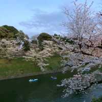 Chidori-ga-fuchi & Kitanomaru Park