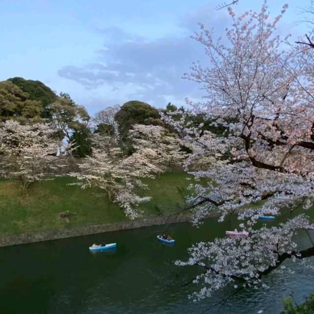 Chidori-ga-fuchi & Kitanomaru Park