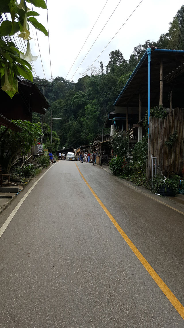 🌿 Mae Kampong: A Hidden Gem in Chiang Mai’s Misty Mountains