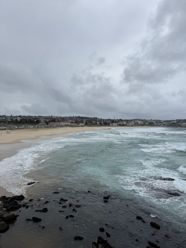 🇦🇺 這是一份詳盡的邦迪海灘遊玩攻略🌊🌊