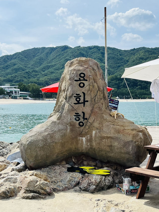 삼척 스노쿨링스팟 삼척 스노쿨링스팟