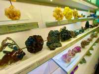 Lapworth Museum of Geology – A Journey Through Earth’s History