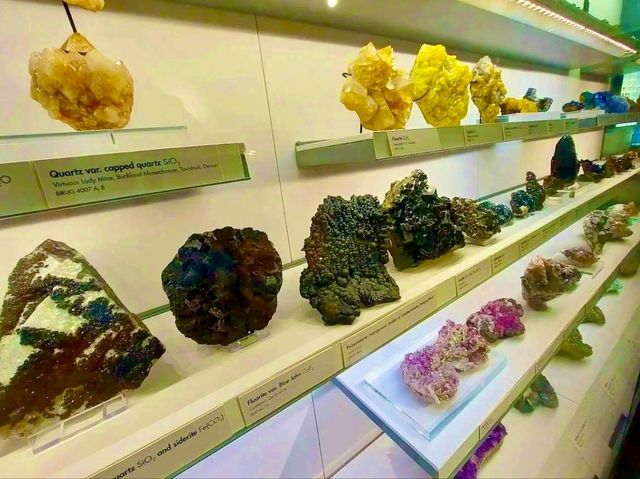 Lapworth Museum of Geology – A Journey Through Earth’s History
