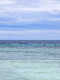 【オスロブ🇵🇭】念願のジンベイザメとのスイミング🦈